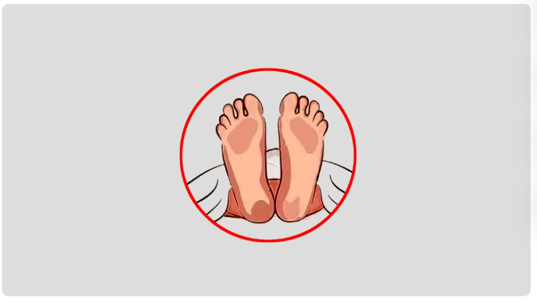 বায়েজিদে ফ্ল্যাটে মিলল গৃহবধূর খণ্ডিত মরদেহ, স্বাম...