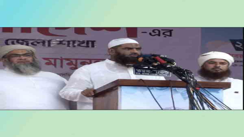 আমরা দিল্লির কাছে মাথানত করিনি: আল্লামা মমিনুল হক