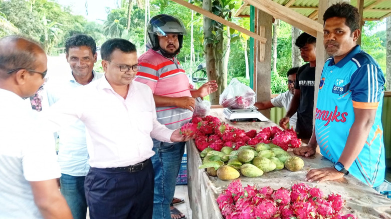 কৃষিই স্বপ্নপূরণ: জয়পুরহাটে দুই ভাইয়ের ৪৭ বিঘার ড্...