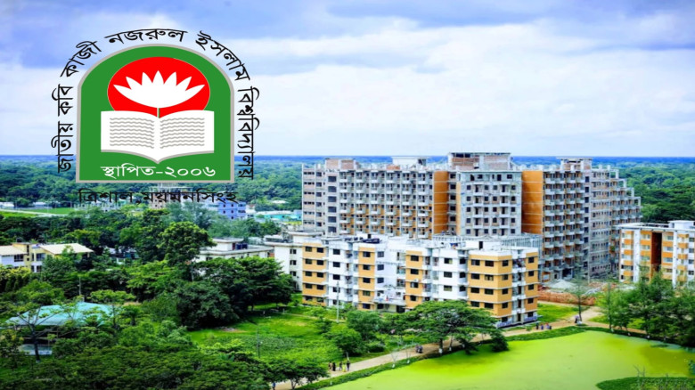 ৭২ শিক্ষার্থী ৬ শিক্ষক–কর্মচারী: নজরুল বিশ্ববিদ্যালয় স্কুলে প্রশ্নবিদ্ধ নিয়োগ