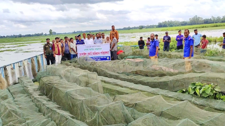 ঠাকুরগাঁওয়ে পোনা রক্ষায় ৪ লক্ষ টাকার অবৈধ জাল জব্দ...
