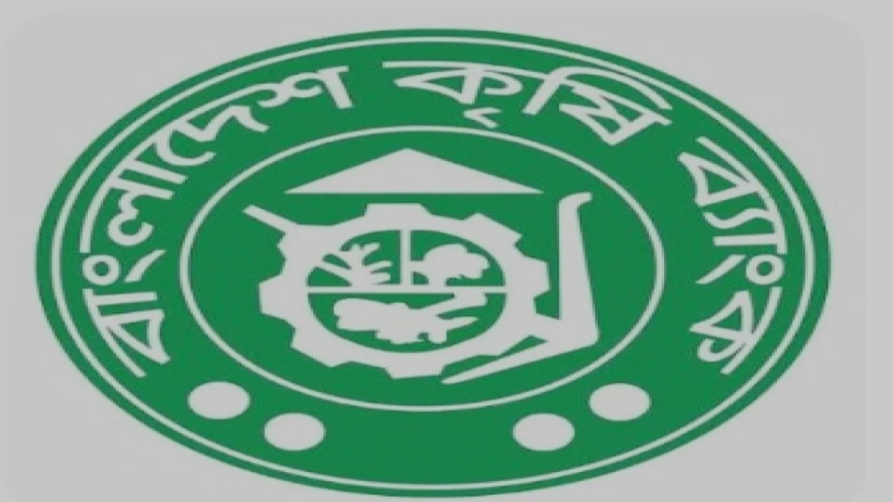 মূলধন ঘাটতিতে বিপর্যস্ত বাংলাদেশ কৃষি ব্যাংক ও রাকাব, ঋণখেলাপির চিত্রও উদ্বেগজনক