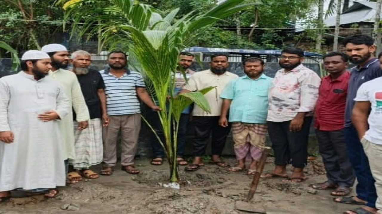 লালমনিরহাটে যুবদলের বৃক্ষরোপন কর্মসূচি