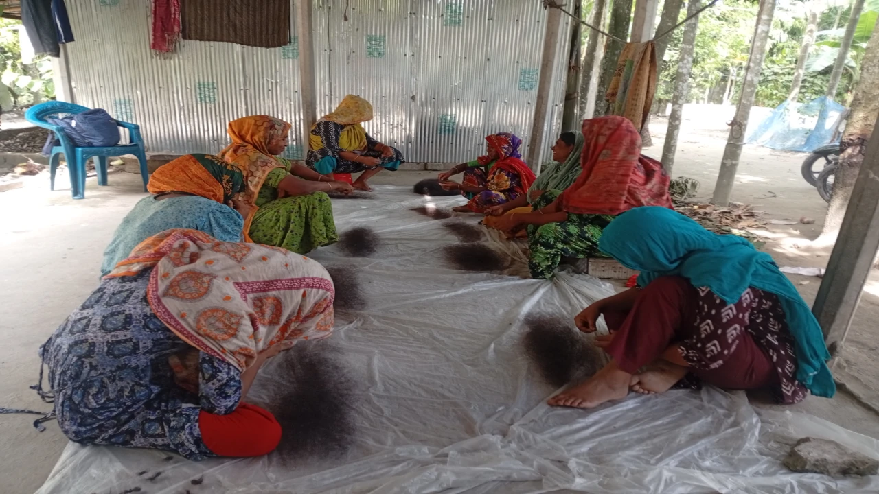 পীরগাছায় স্বাস্থ্য ঝুঁকিতে ১২০নারী শ্রমিক,পানির দরে শ্রম বিক্রি 