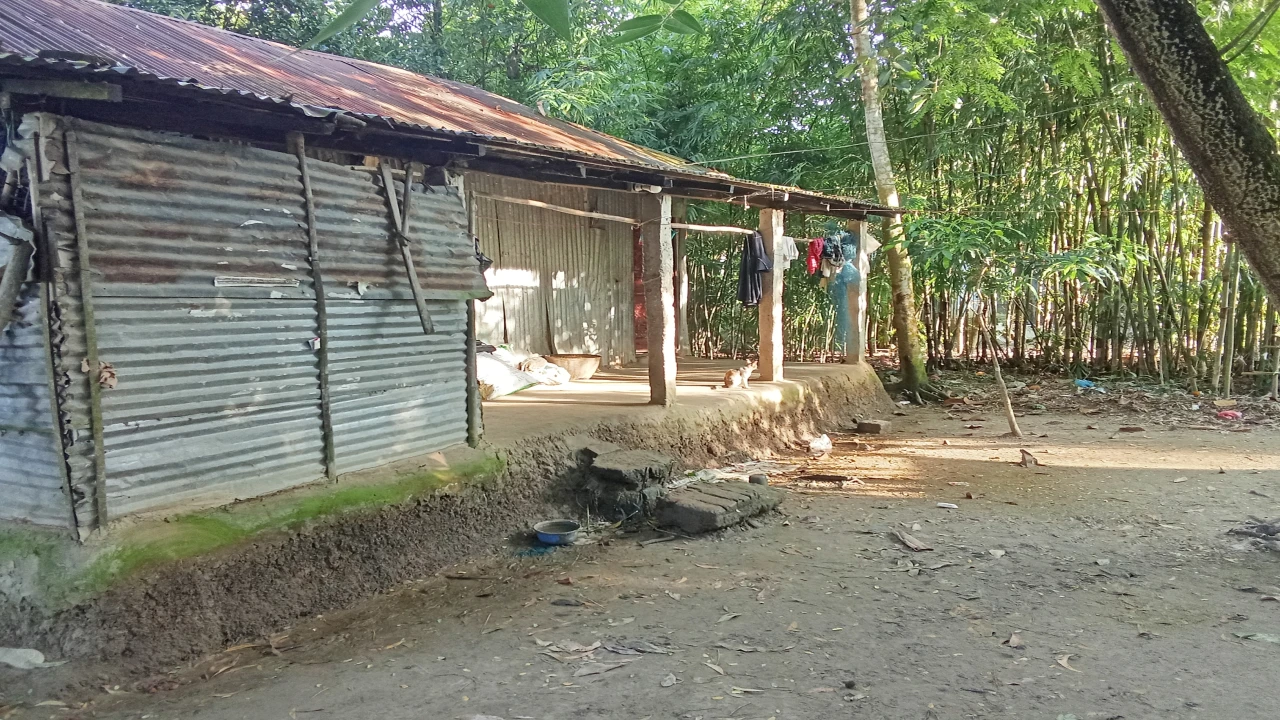 রাজনগর গভীর রাতে ঘরে ঢোকে ছিনতাই: বিচারের বাণী নীরবে কাঁদে