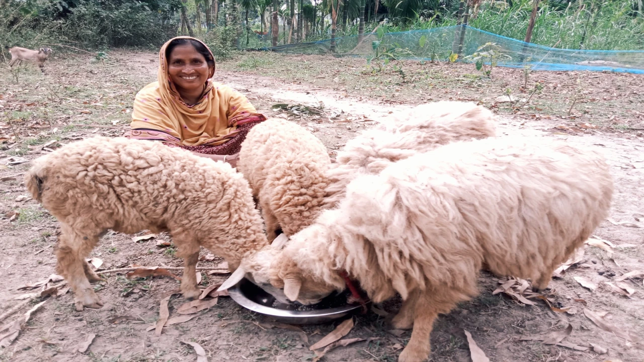 আয়বৃদ্ধিমূলক কর্মকান্ডে বদলে যাচ্ছে চরবাসীর আর্থ-স...