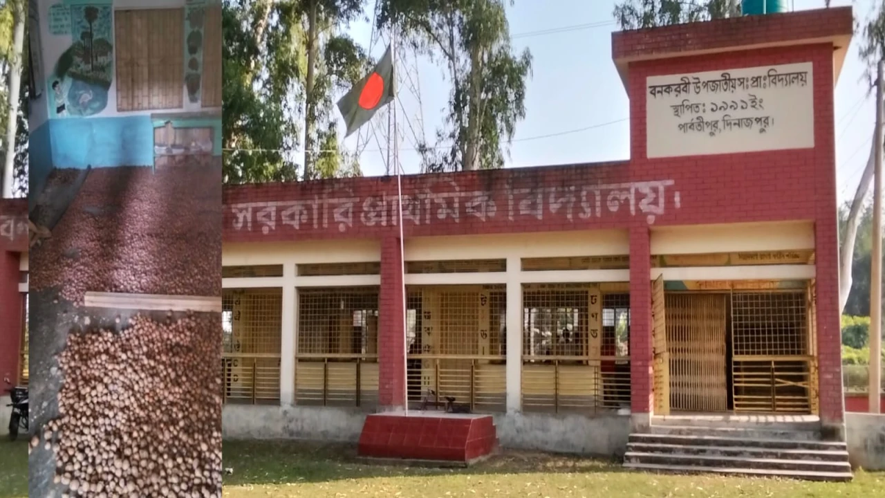 পার্বতীপুরে প্রাথমিক বিদ্যালয়ের শ্রেণিকক্ষ আলুর কো...