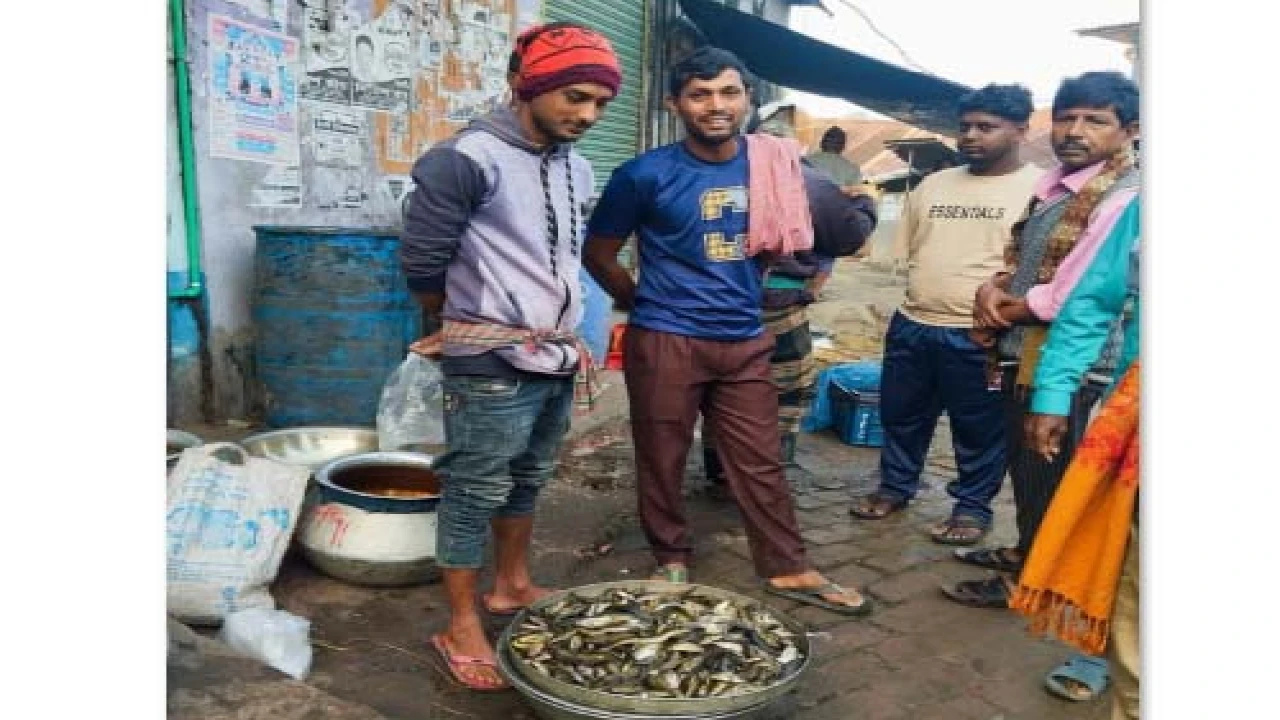 কালিয়ায় খাল-বিল শুকিয়ে হাটে দেশীয় মাছের উৎসব...