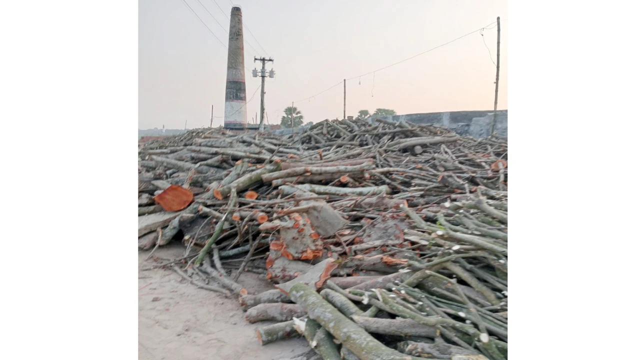 অবৈধ ইটভাটায় বিপর্যস্ত মাগুরার পরিবেশ: জেলা প্রশাস...