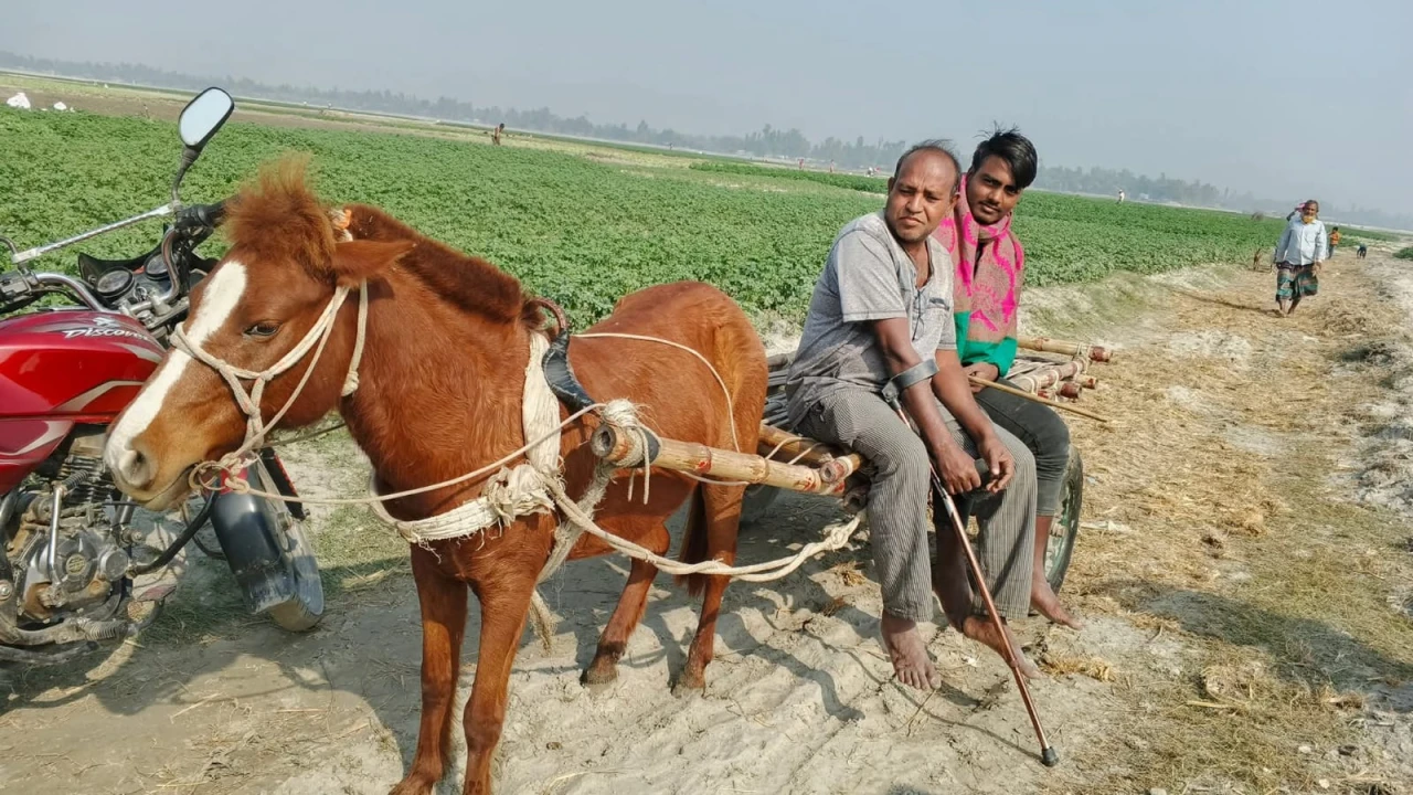 তিস্তার দুর্গম চড়ে পন্য পরিবহনে জনপ্রিয় হয়ে উঠছ...