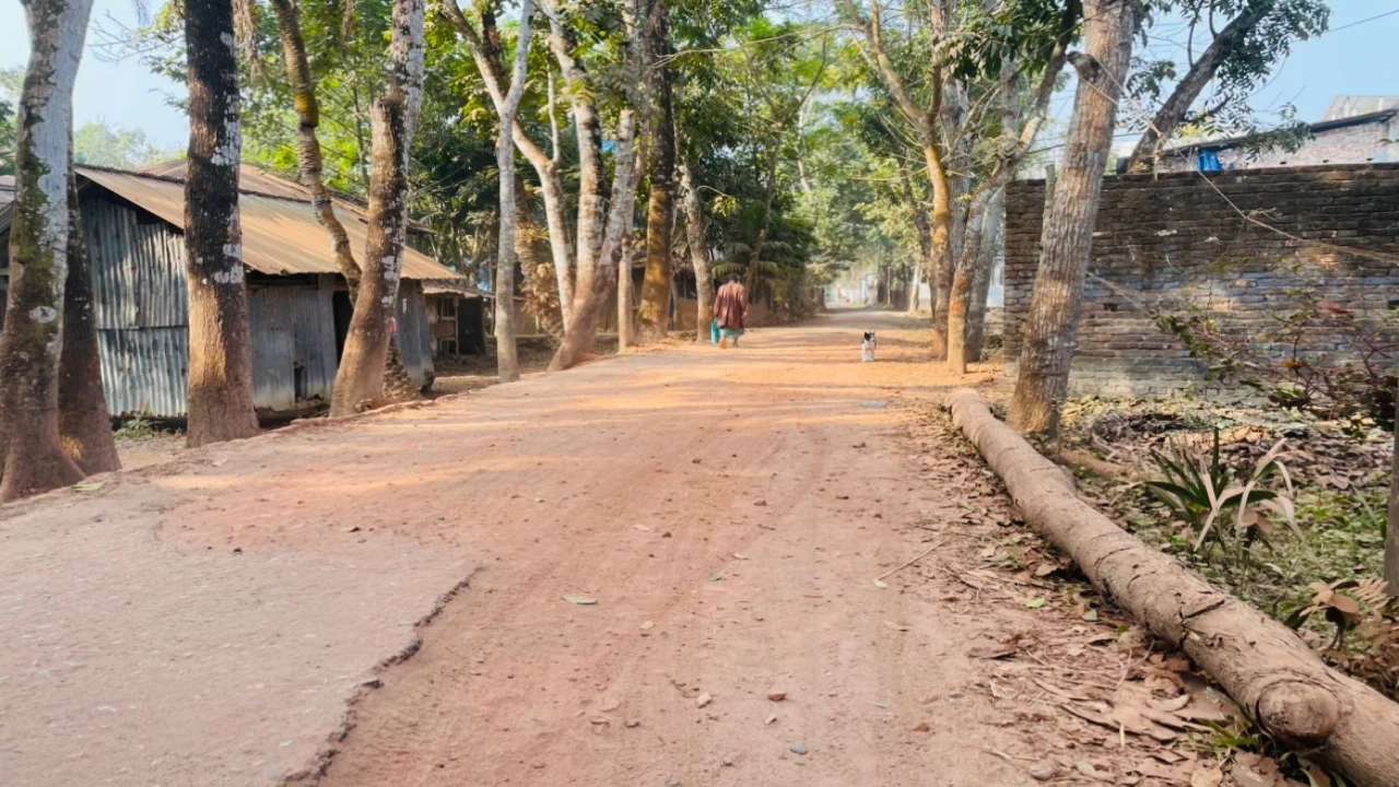 ড. মাসুদের প্রচেষ্টায় নাজিরপুরে সাত কোটি টাকার উন...