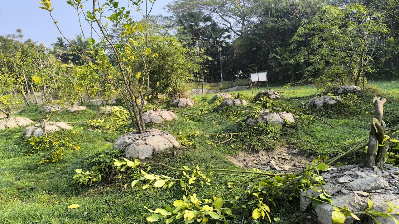 দৌলতখানে জমির বিরোধ নিয়ে হামলাঃ আদালতে মামলা...