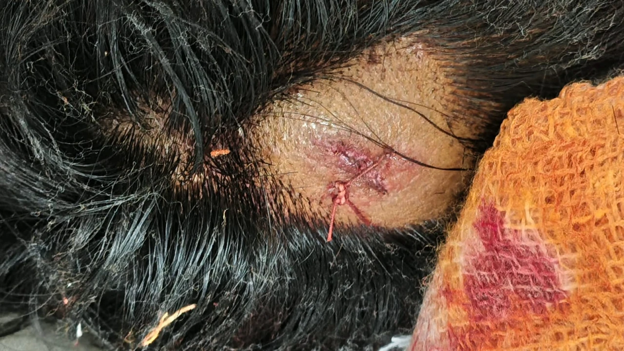 ব্যারিস্টার ফুয়াদের প্রচারনায় জামায়াত কর্মীদের উপর...