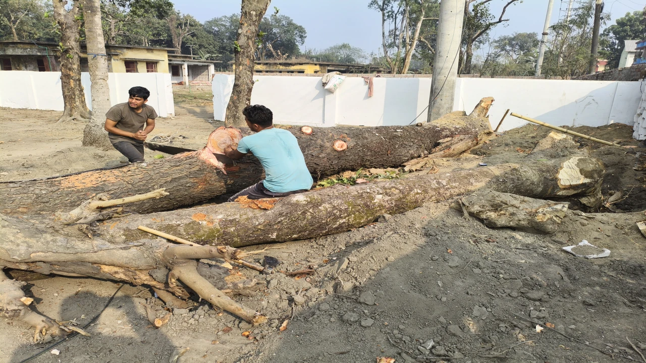 ঠাকুরগাঁওয়ে সরকারি কোয়াটার দখলে নিলেন বিএনপি নেতা,...