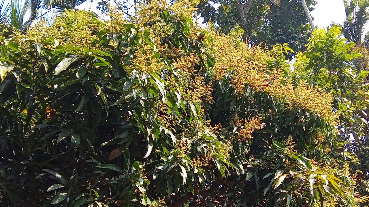 ছবির ক্যাপশন: 