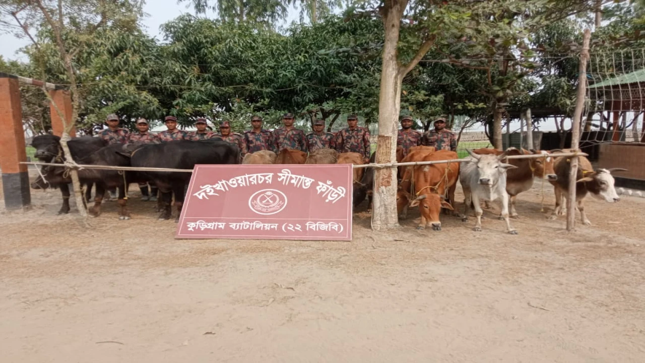 কুড়িগ্রামে বিজিবির ৪৬ লাখ টাকার অবৈধ পণ্য উদ্ধার