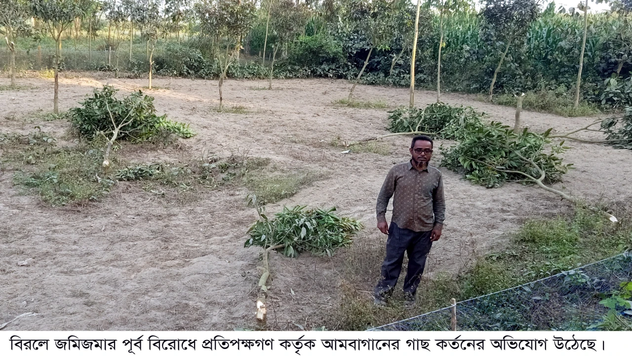 বিরলে জমিজমার পূর্ব বিরোধে প্রতিপক্ষগণ কর্তৃক আমবা...