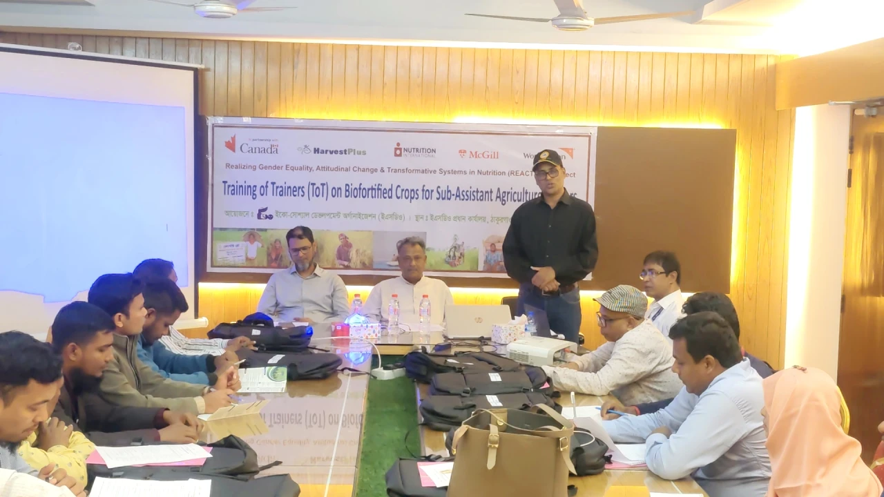 ঠাকুরগাঁওয়ে জিংক সমৃদ্ধ ধান বিষয়ে কৃষি কর্মকর্তাদের বিশেষ প্রশিক্ষণ