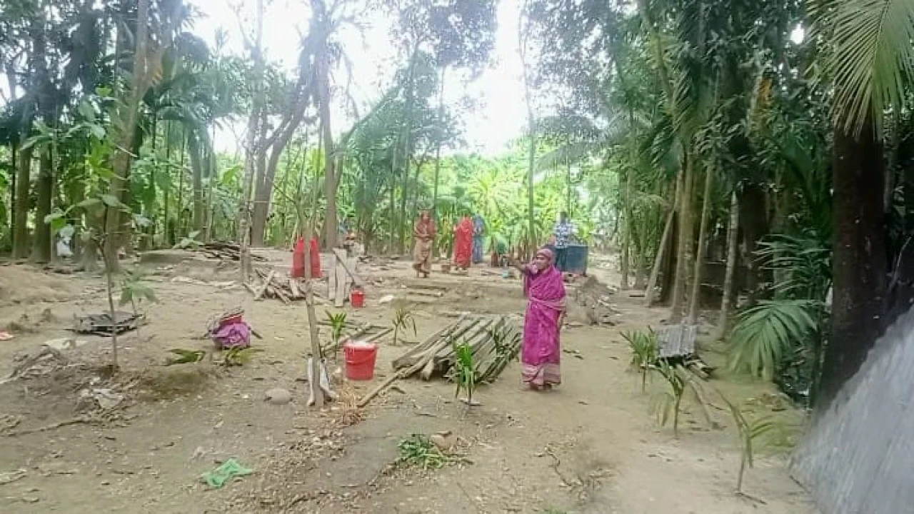 ভোলায় জমিজমা বিরোধের জেরে বসতঘর উচ্ছেদের অভিযোগ ...