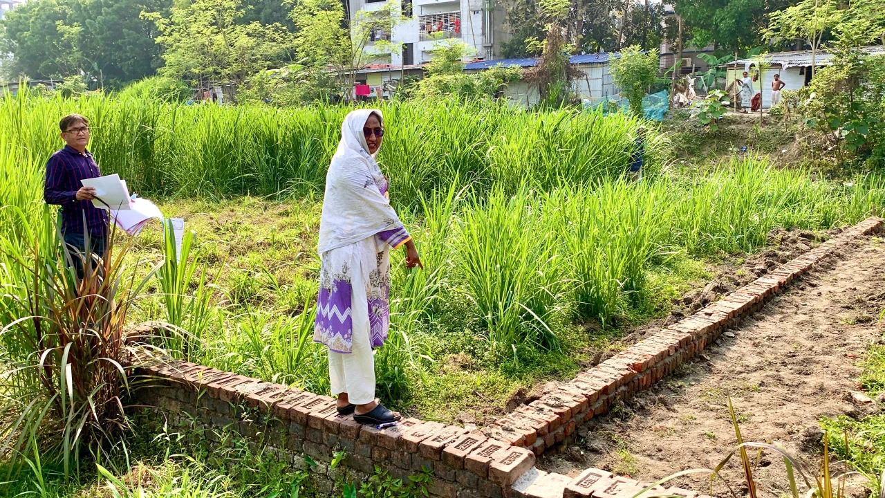 মহিলা লীগ নেত্রীর জমি দখলের চেষ্টার অভিযোগ কৃষকদল নেতার বিরুদ্ধে