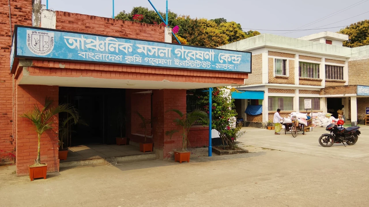 মাগুরা আঞ্চলিক মসলা গবেষণা কেন্দ্রের জমি অধিগ্রহণে স্থবিরতা : ক্ষতিগ্রস্ত ৩৬ পরিবার