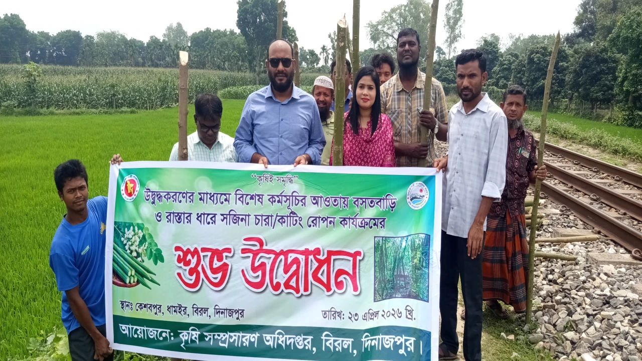 বিরলে উদ্বুদ্ধকরণ এর আওতায় সজিনা চাষের শুভ উদ্বোধন 