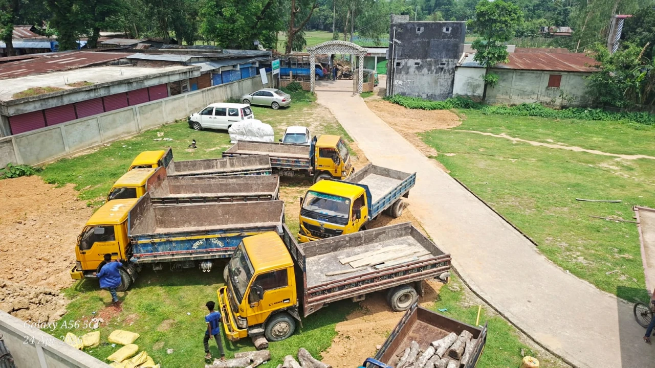 ছবির ক্যাপশন: 
