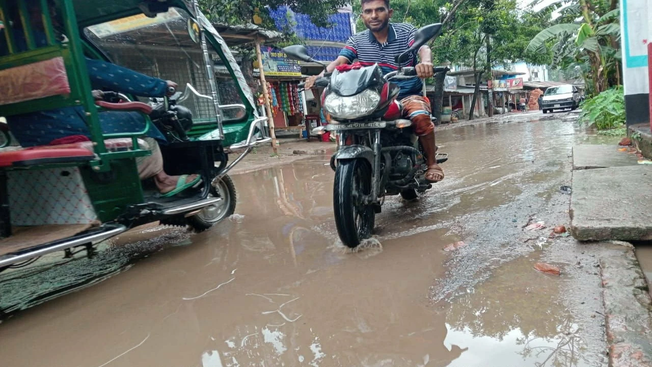 শিবগঞ্জের গুজিয়া-দাড়িদহ সড়কে জলাবদ্ধতা, চরম ভোগান্তিতে পথচারীরা