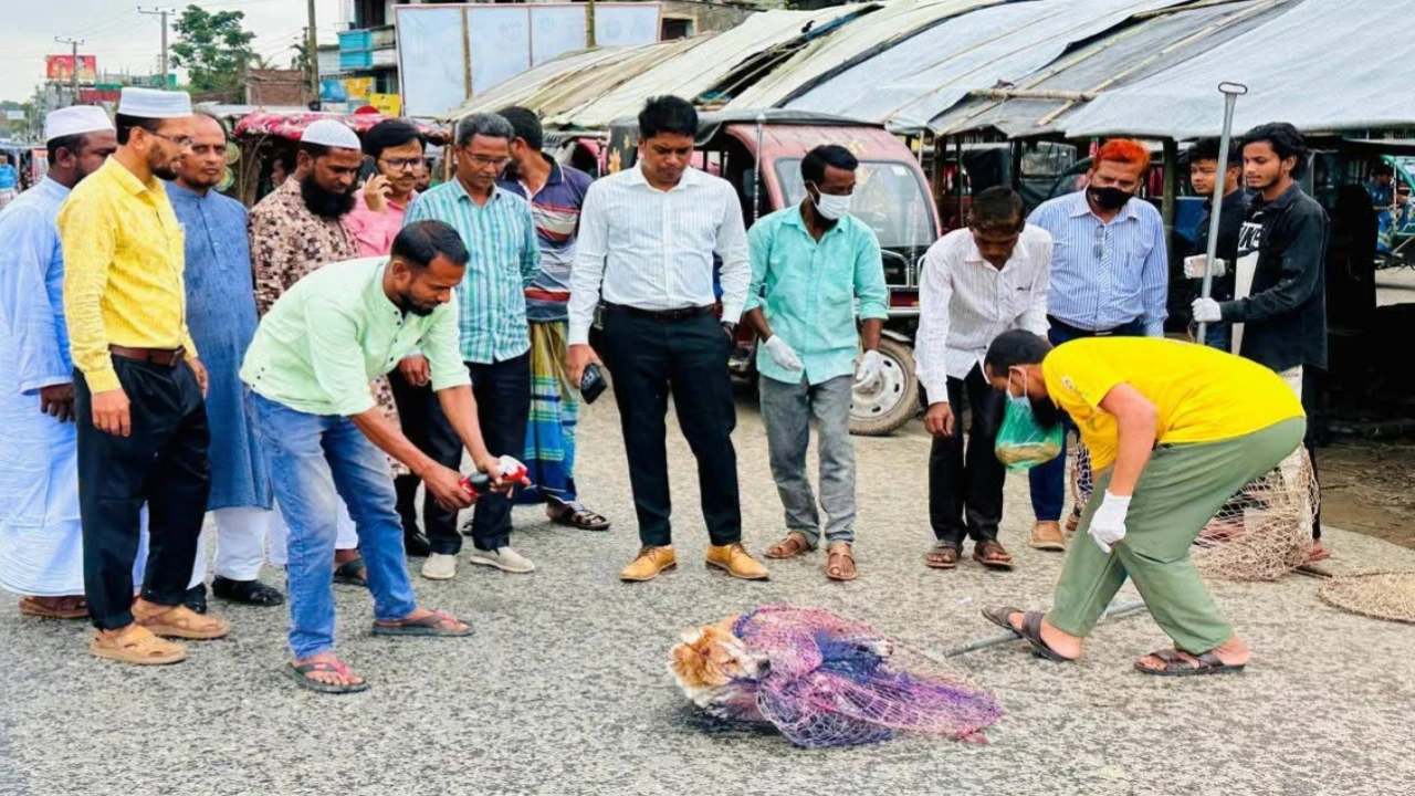 ফুলপুরে জলাতঙ্ক প্রতিরোধে কুকুর-বিড়ালের ভ্যাকসিন প্রদান