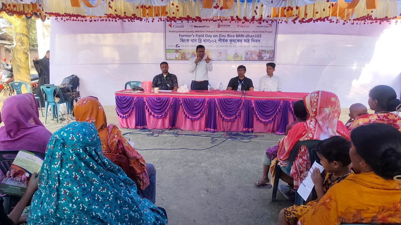 ঠাকুরগাঁওয়ে ব্রি ধান-১০২ নিয়ে কৃষকের মাঠ দিবস...