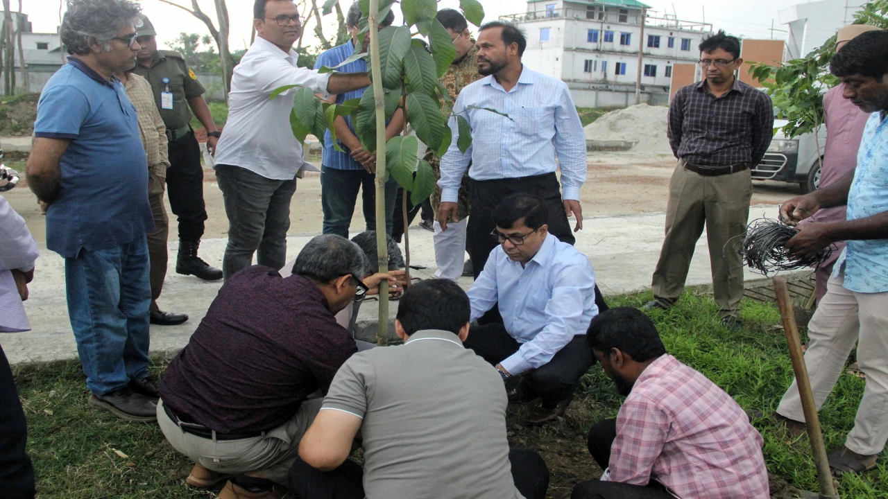 নজরুল বিশ্ববিদ্যালয়ে ৪৫০০ বৃক্ষরোপণের কর্মসূচির উদ্বোধন