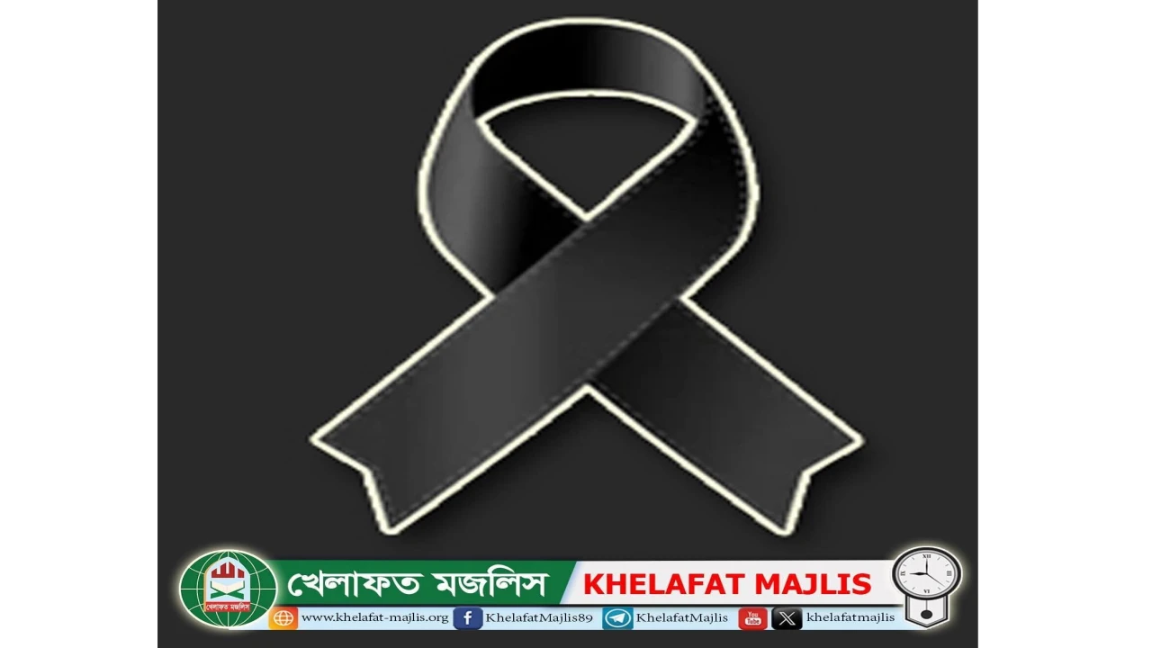 নেজামে ইসলাম পার্টির আমীর মাওলানা সরওয়ার কামাল আজিজীর ইন্তেকাল