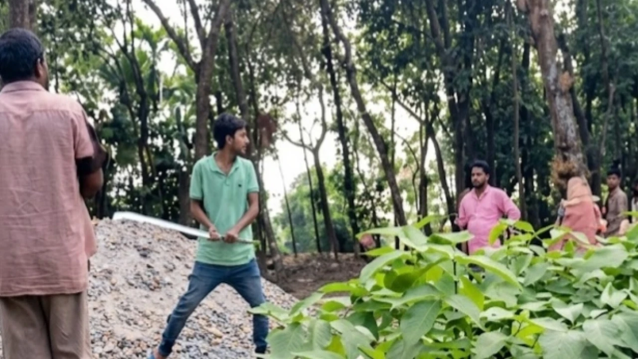 মুরাদনগরে জোর পূর্বক কৃষকের জমি দখল, ফসল লুট