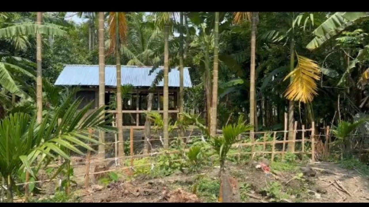 কাউখালীতে ভূমিহীন প্রতিবন্ধী নারীর বসতভিটা দখল ও লুটের অভিযোগ: আদালতে মামলা