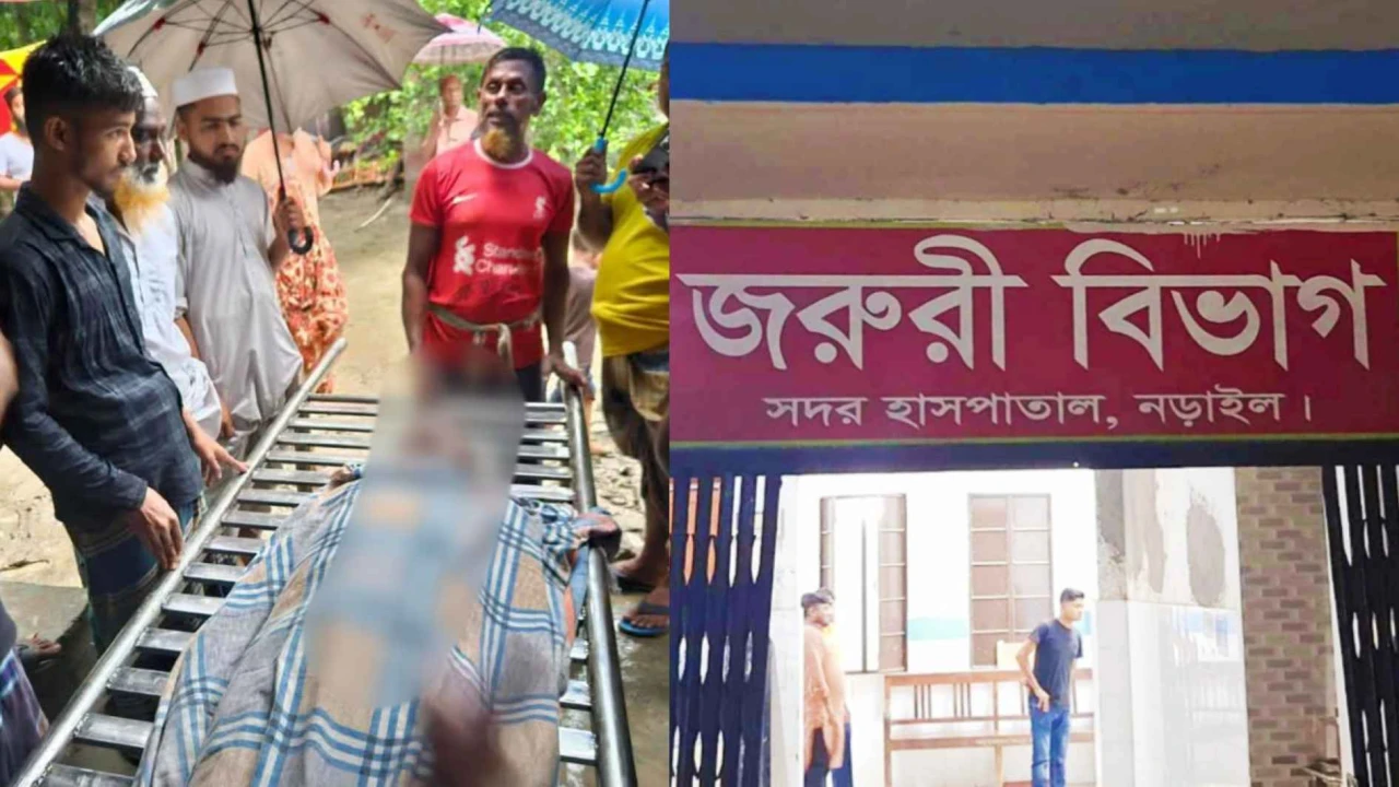 লোহাগড়ায় বজ্রপাতে মৃত্যু ২