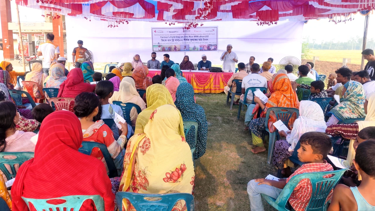 ঠাকুরগাঁওয়ে ব্রি ধান-১০২ চাষে কৃষকদের উদ্বুদ্ধ করতে মাঠ দিবস