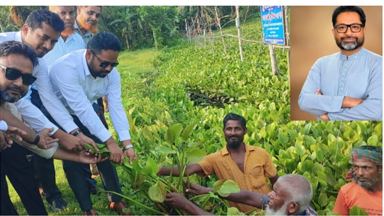 প্রতিমন্ত্রীর নির্দেশে বায়নের খালে পরিচ্ছন্নতা অভি...