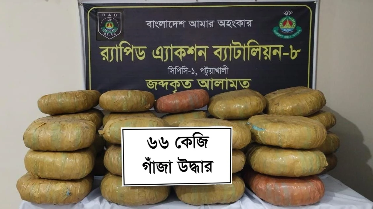 পটয়াখালী পায়রা সেতু এলাকায় র‌্যাবের অভিযানে পিকআপের গোপন চেম্বার থেকে ৬৬ কেজি গাঁজা উদ্ধার