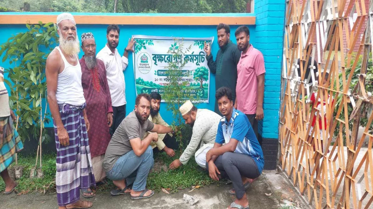 সবুজ দেশ গড়ার প্রত্যয়ে সুন্দরগঞ্জে জামায়াতের বৃক্ষরোপণ