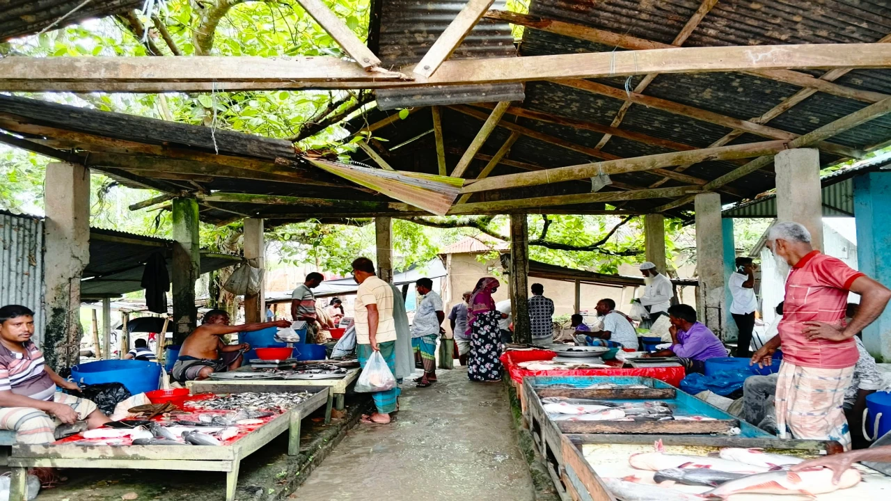 তাড়াশে হাটনির্ভর গ্রামের মানুষের দুর্ভোগ চরমে  দীর্ঘ এক যুগেও হয়নি হাটের উন্নয়ন