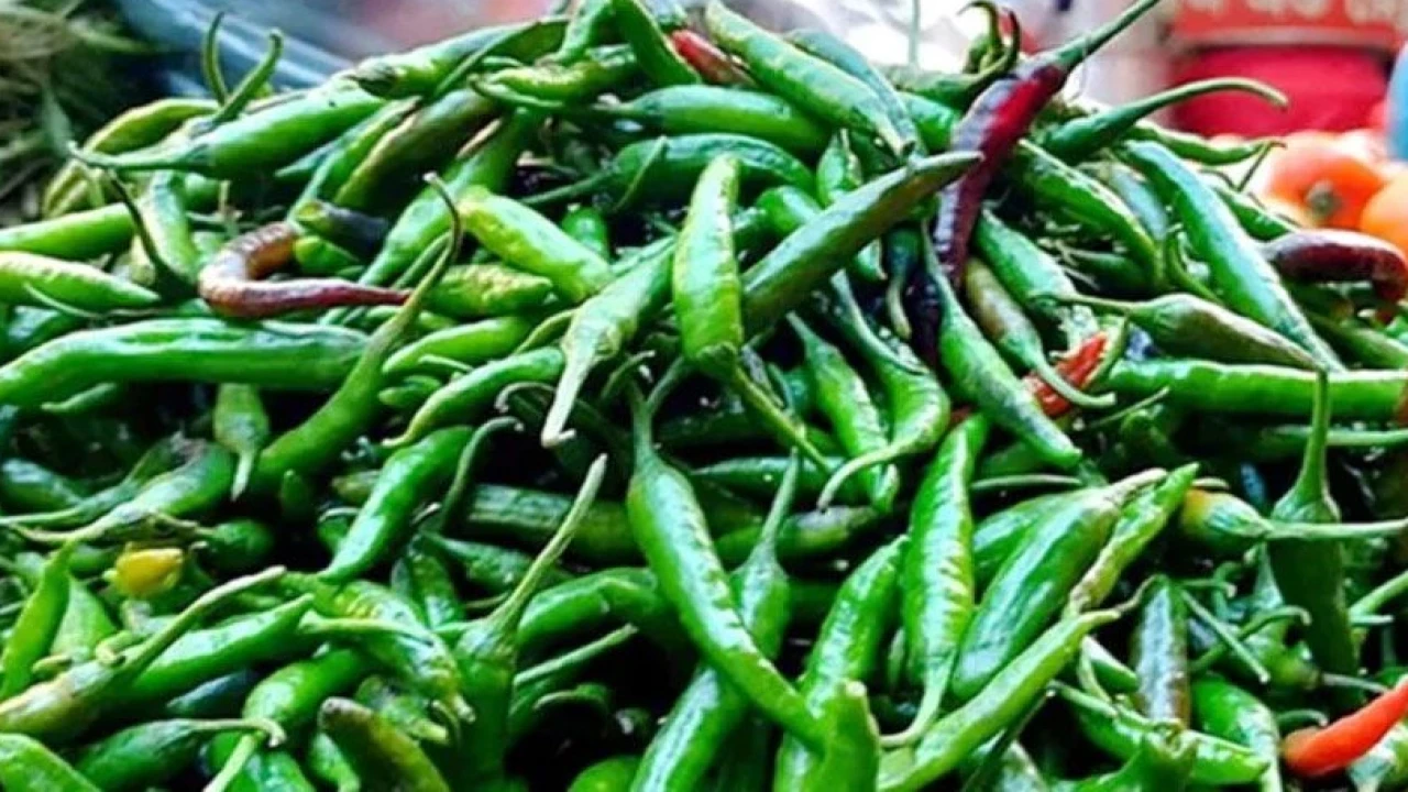 কাঁচামরিচের দামে আগুন, কেজি ৩০০ টাকার গণ
