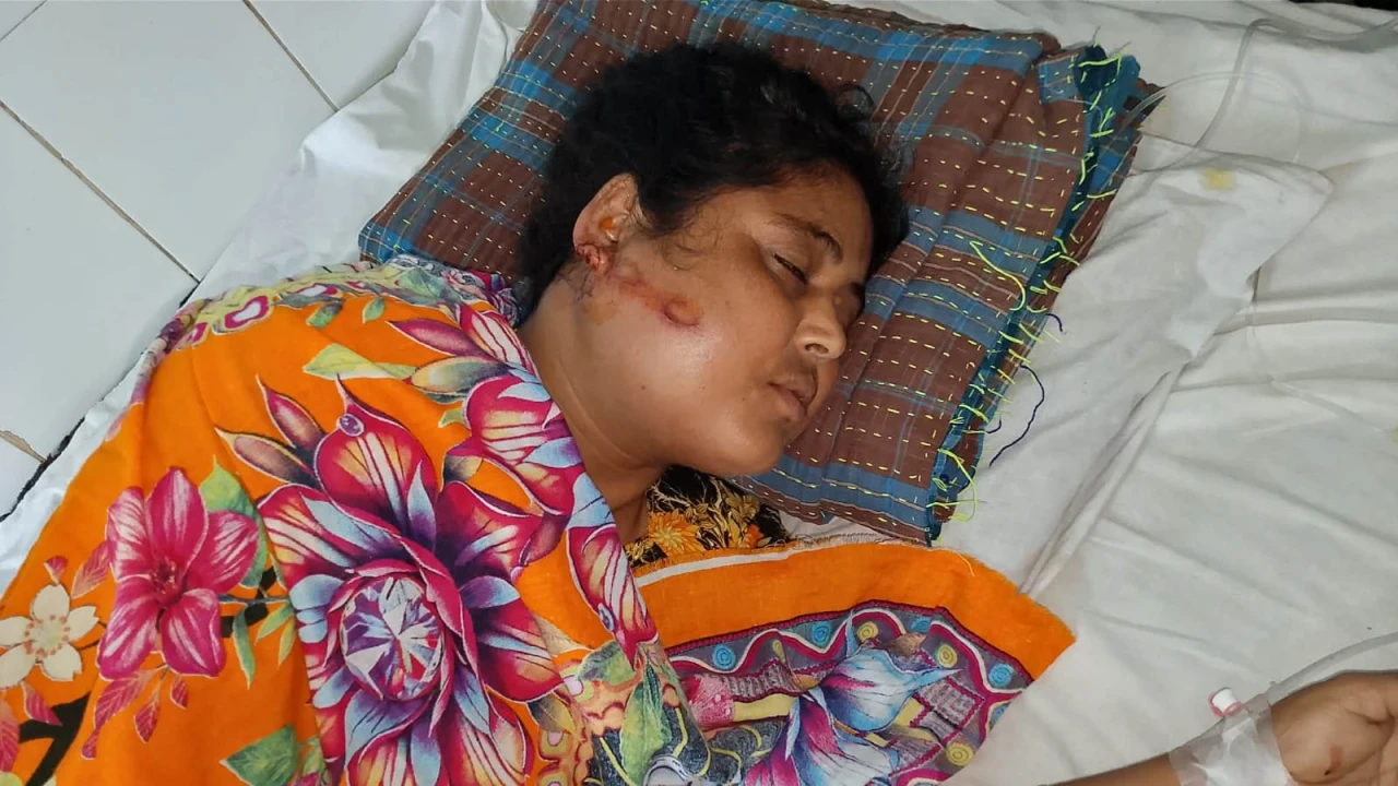সাপাহারে বিবাদমান সম্পত্তি নিয়ে সৃষ্ট সংঘর্ষে মহিলা সহ আহত-৩