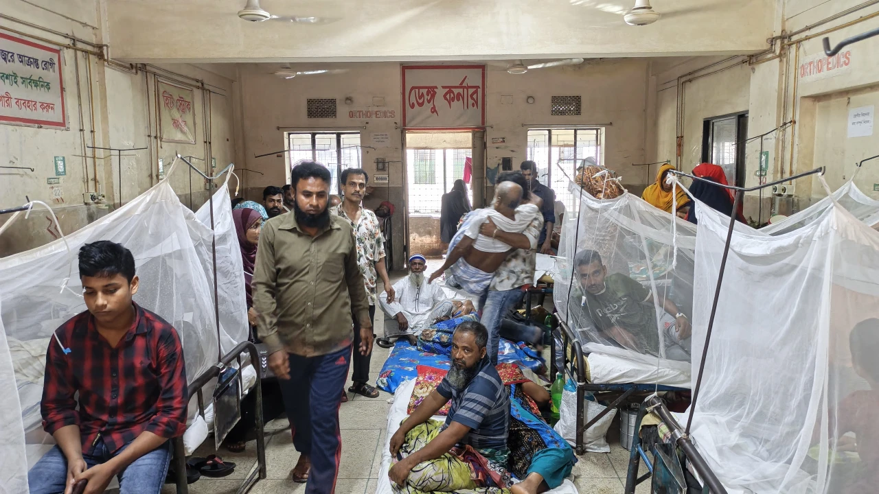 ডেঙ্গুর ‘হটস্পট’ পিরোজপুর! ৮ মাসে আক্রান্ত ১,৩৮১, থামছে না প্রকোপ