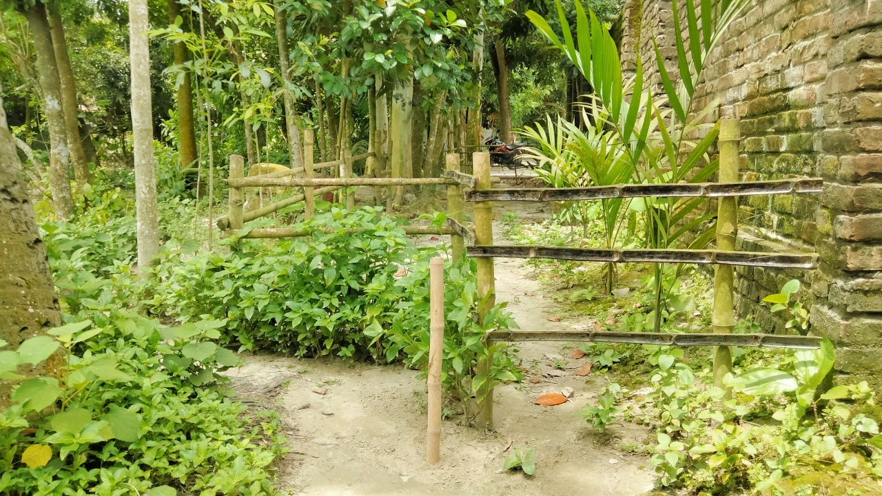 সুন্দরগঞ্জে ৭০ বছরের পুরোনো চলাচলের রাস্তা বাঁশের বেড়া দিয়ে বন্ধ, অবরুদ্ধ কয়েক পরিবার