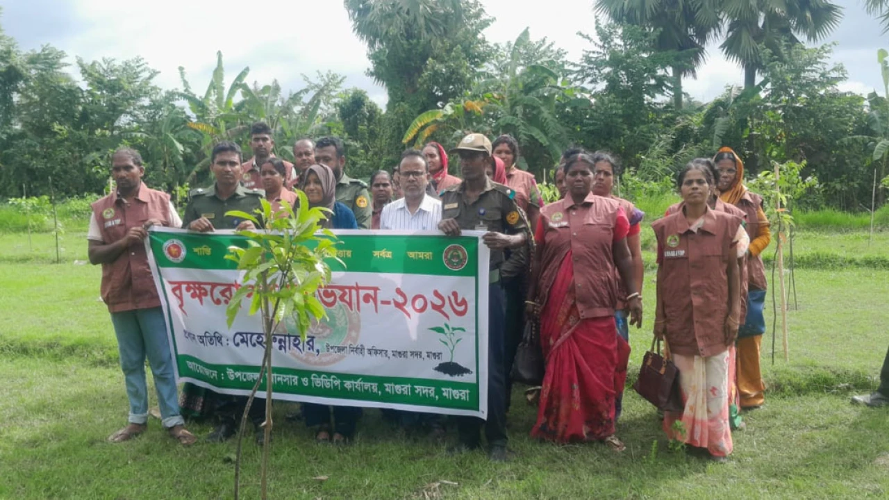 মাগুরায় ১ একর খাসজমিতে সাত প্রজাতির গাছ রোপণ