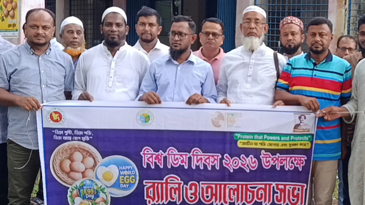 লালমোহনে বিশ্ব ডিম দিবস উপলক্ষে র‍্যালি ও আলোচনা সভা অনুষ্ঠিত
