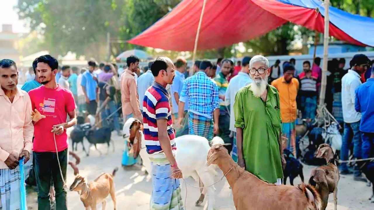 পঞ্চগড়ের কালীগঞ্জ হাটে ছাগলপ্রতি ১০০ টাকা অতিরিক্ত আদায়ের অভিযোগ