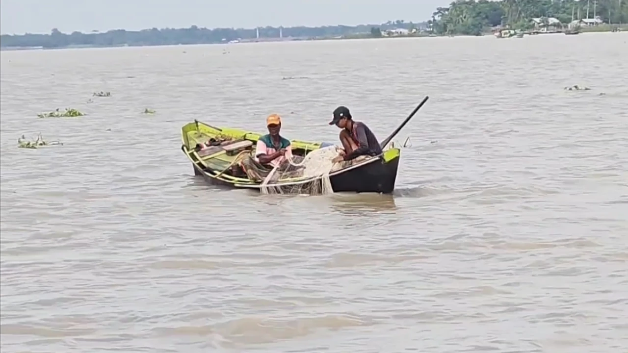 নিষেধাজ্ঞা শেষে নদীতে ইলিশের আকাল, দুশ্চিন্তায় হাজারো জেলে